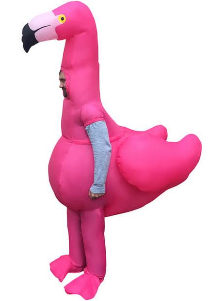 disfraz-flamenco-38_10 Flamingo odijelo